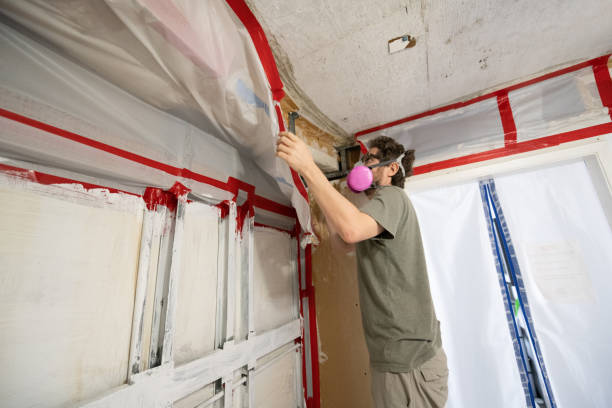 Best Crawl Space Mold Remediation  in Hutchins, TX