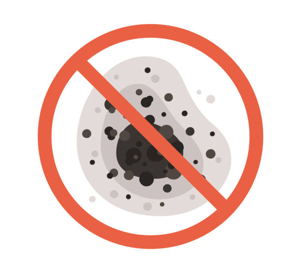 Best Mold Odor Removal Services  in Hutchins, TX