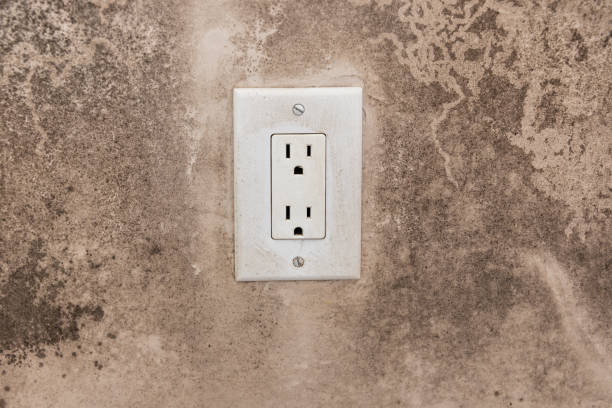 Best Air Quality Testing for Mold Spores  in Hutchins, TX